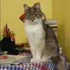 Отзыв от Ева Тарасова